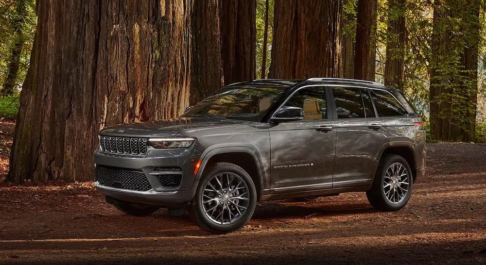 A grey 2022 Jeep Grand Cherokee parked in the woods.