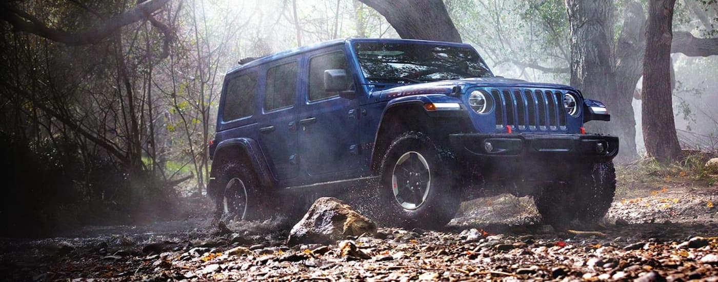 A blue 2020 Jeep Wrangler parked off-road in a forest.