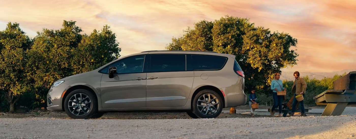 A tan 2023 Chrysler Pacifica parked near a picnic table at an apple orchard.